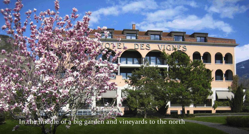Hotel Des Vignes 4*