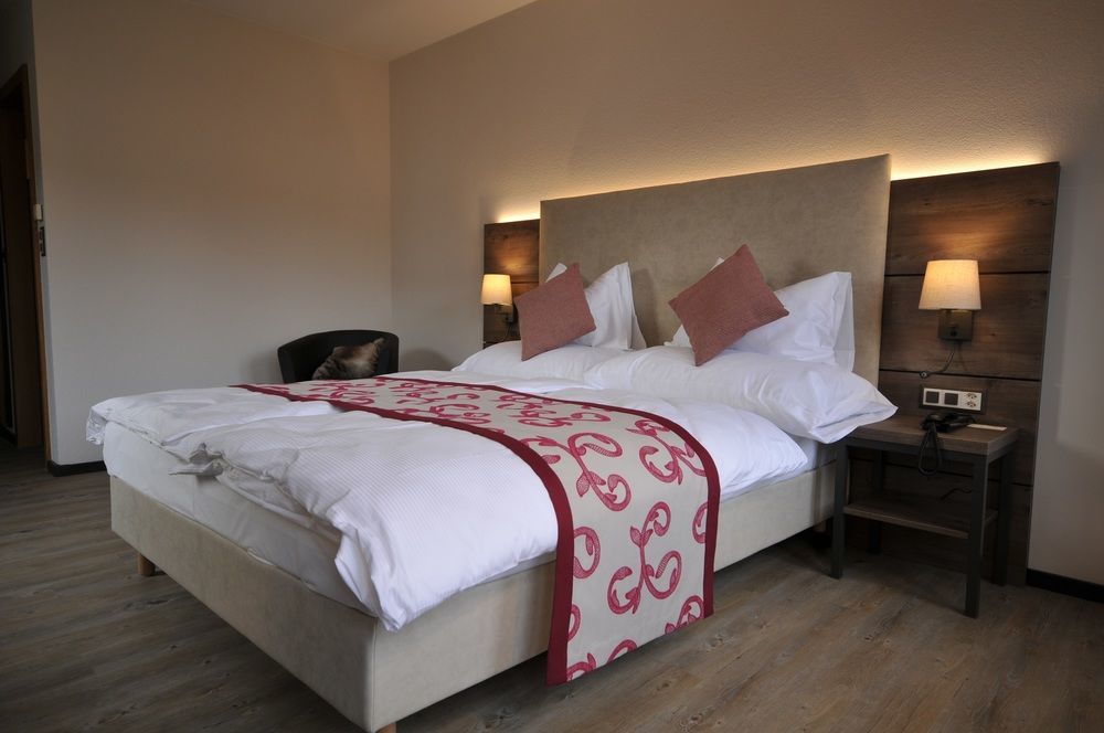 Hotel Des Vignes 4*