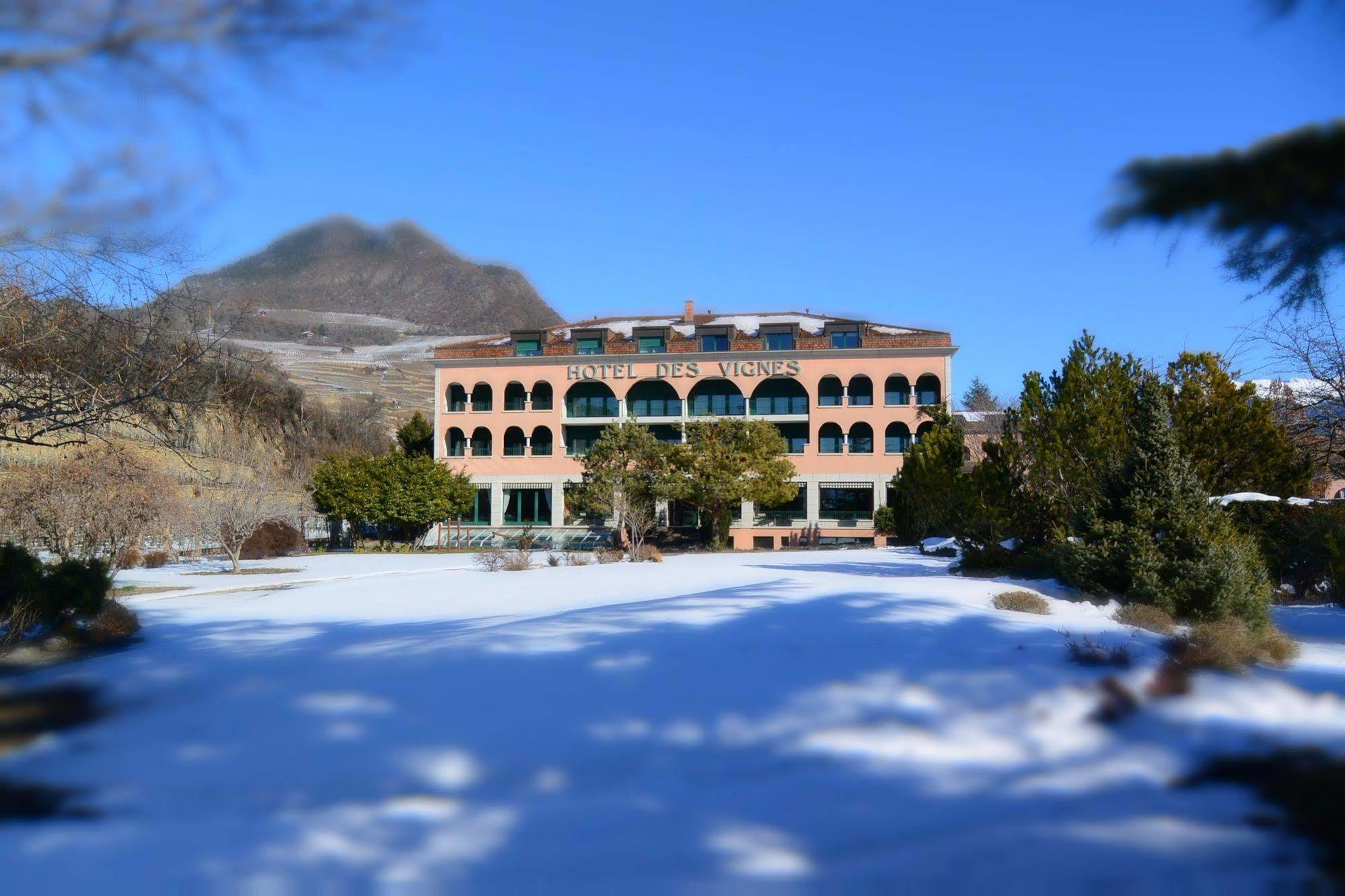 Hotel Des Vignes